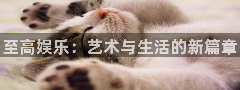 苹果版乐发ll500下载安装：至高娱乐：艺术与生活的新篇章