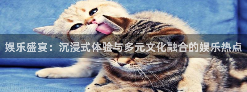 乐发ll500游戏官网平台：娱乐盛宴：沉浸式体验与多元文化融合的娱乐热点