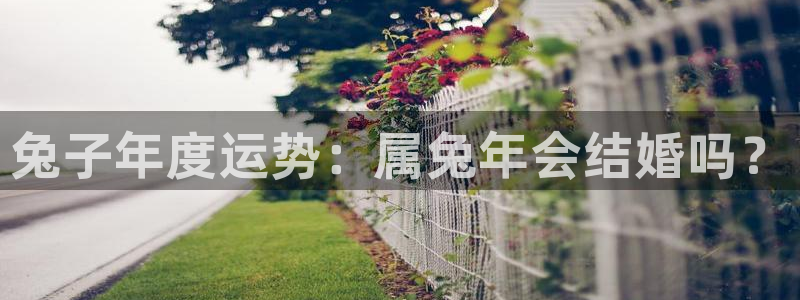 乐发ll500凯捷开号链接：兔子年度运势：属兔年会结婚吗？