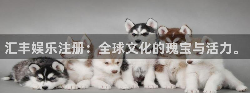 乐发ll5004平台注册：汇丰娱乐注册：全球文化的瑰宝与活力。