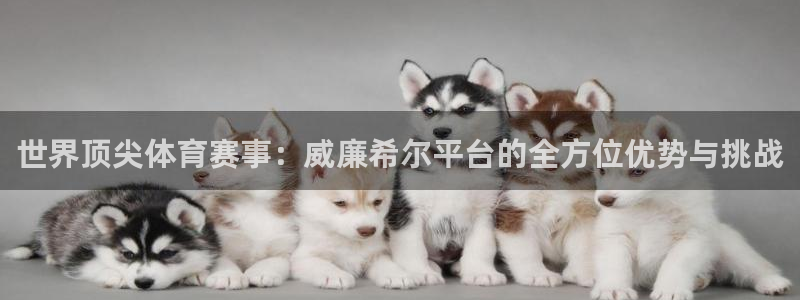 乐发ll500体育论坛：世界顶尖体育赛事：威廉希尔平台的全方位优势与挑战