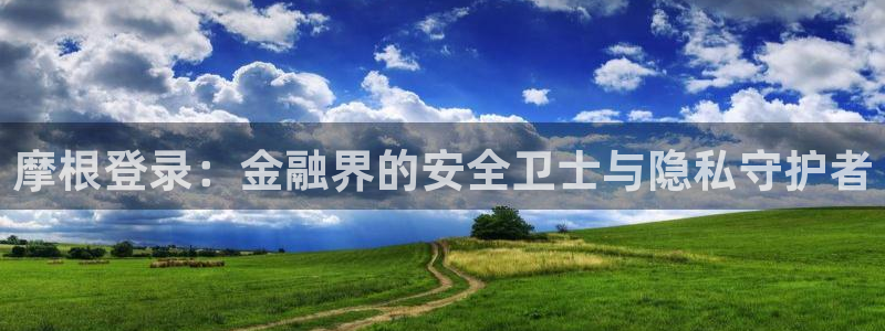 乐发ll500网页版：摩根登录：金融界的安全卫士与隐私守护者