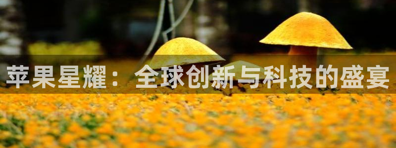 乐发ll500包怎么样：苹果星耀：全球创新与科技的盛宴