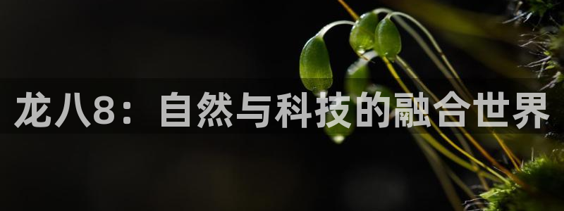 乐发ll500注册入口：龙八8：自然与科技的融合世界