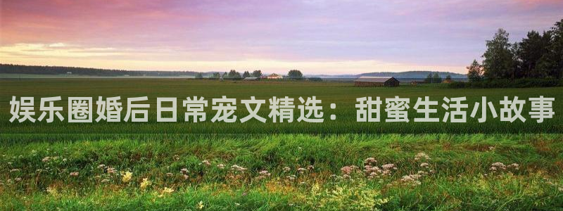 乐发ll500注册网站链接：娱乐圈婚后日常宠文精选：甜蜜生活小故事