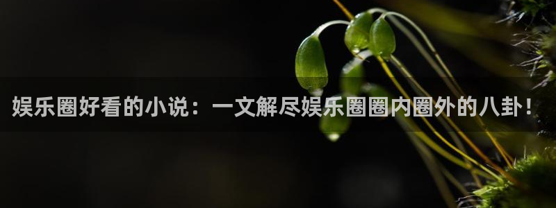 乐发ll5003登录：娱乐圈好看的小说：一文解尽娱乐圈圈内圈外的八卦！