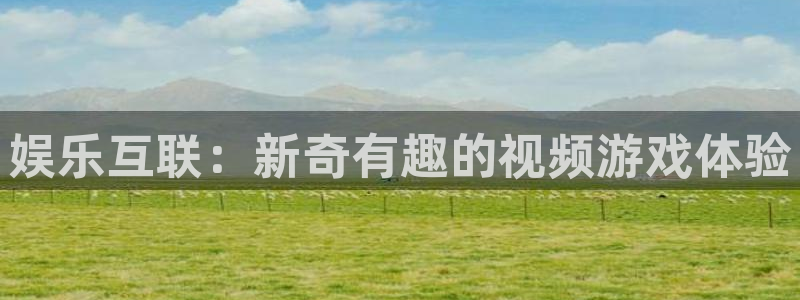 乐发ll500可靠吗：娱乐互联：新奇有趣的视频游戏体验