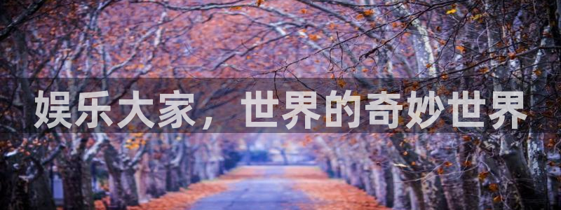 乐发ll500.ccmpc正版：娱乐大家，世界的奇妙世界