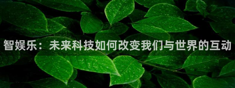 乐发ll500电子有限公司：智娱乐：未来科技如何改变我们与世界的互动