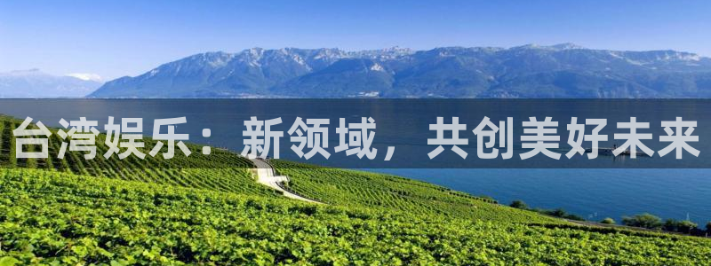 乐发ll500游戏有哪些好玩的：台湾娱乐：新领域，共创美好未来