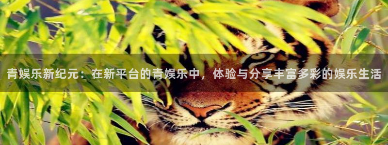 乐发ll500平台开户链接：青娱乐新纪元：在新平台的青娱乐中，体验与分享丰富多彩的娱乐生活