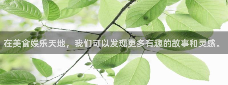 乐发ll500.com：在美食娱乐天地，我们可以发现更多有趣的故事和灵感。