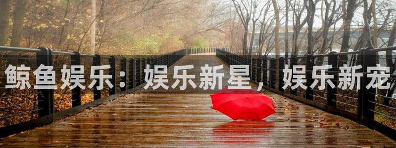 乐发ll500平台官方入口：鲸鱼娱乐：娱乐新星，娱乐新宠
