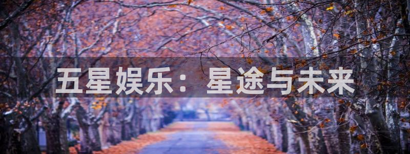乐发ll500官网：五星娱乐：星途与未来