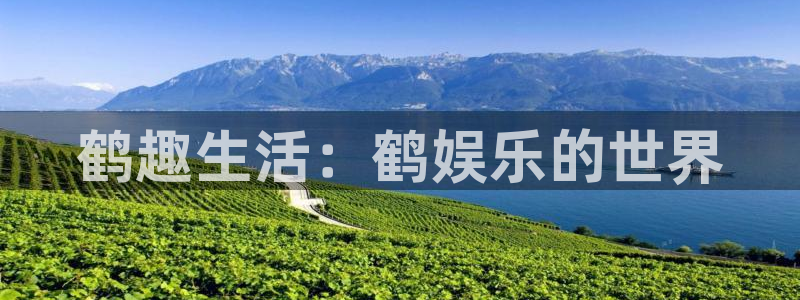 乐发ll500网站：鹤趣生活：鹤娱乐的世界