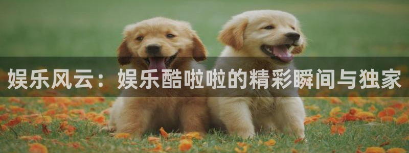 乐发ll500：娱乐风云：娱乐酷啦啦的精彩瞬间与独家