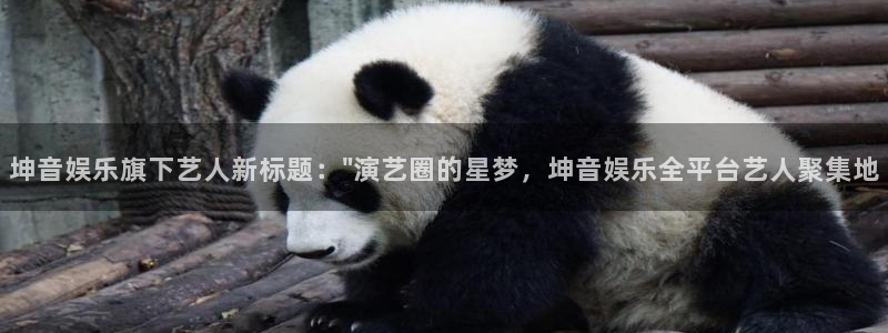 乐发ll500官网地址：坤音娱乐旗下艺人新标题：\
