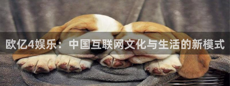 乐发ll500平台在线开户：欧亿4娱乐：中国互联网文化与生活的新模式