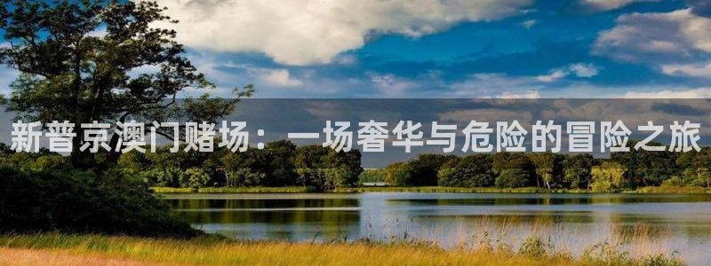 乐发ll500官方网站：新普京澳门赌场：一场奢华与危险的冒险之旅