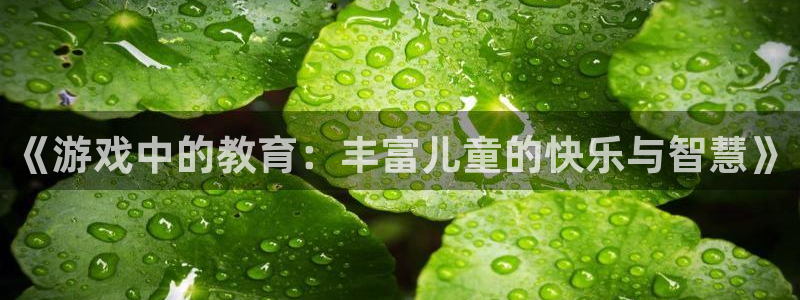 乐发ll500平台官网入口：《游戏中的教育：丰富儿童的快乐与智慧》