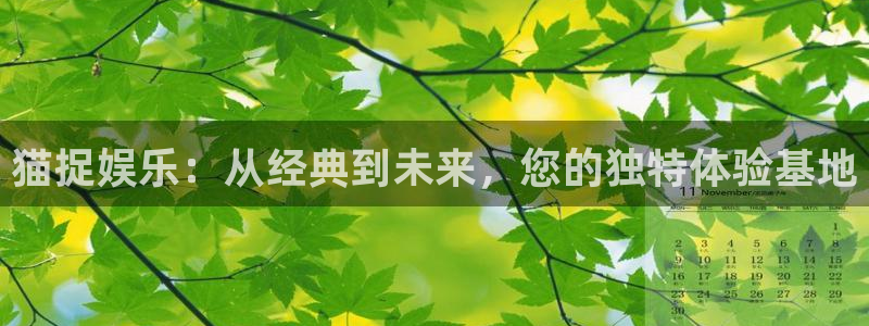 乐发ll500招商：猫捉娱乐：从经典到未来，您的独特体验基地