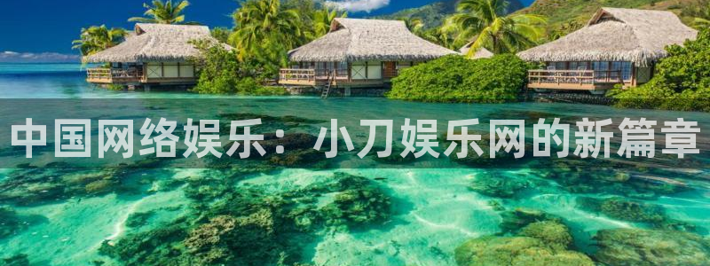 乐发ll500登陆：中国网络娱乐：小刀娱乐网的新篇章