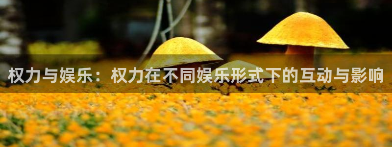 乐发ll5005：权力与娱乐：权力在不同娱乐形式下的互动与影响
