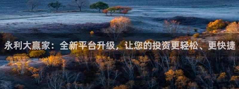 乐发ll500网站平台：永利大赢家：全新平台升级，让您的投资更轻松、更快捷