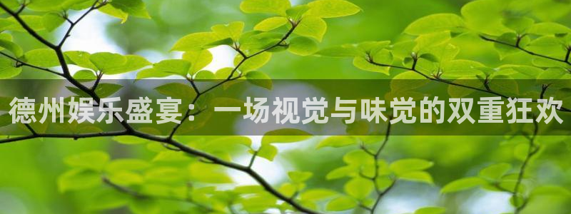 乐发ll5003登陆：德州娱乐盛宴：一场视觉与味觉的双重狂欢