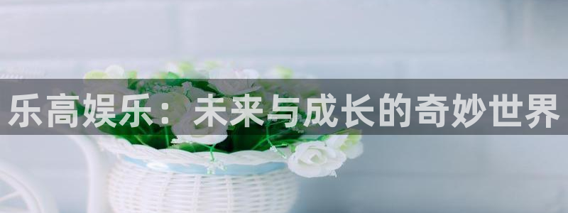 乐发ll500体育平台注册：乐高娱乐：未来与成长的奇妙世界