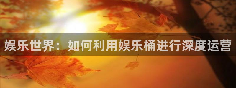 乐发ll500分红代理计划：娱乐世界：如何利用娱乐桶进行深度运营