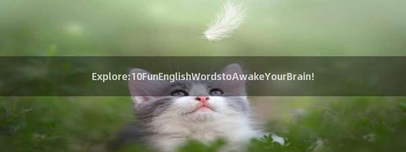 乐发ll500ccm麻将胡了：Explore:10FunEnglishWordstoAwakeYourBrain!