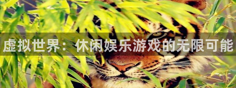 乐发ll5003登陆：虚拟世界：休闲娱乐游戏的无限可能