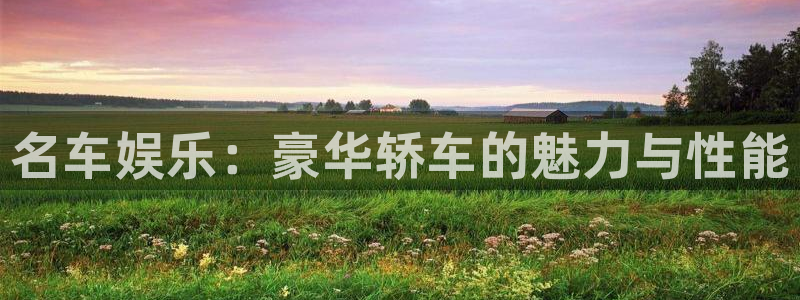 乐发ll500.ccm官网版：名车娱乐：豪华轿车的魅力与性能