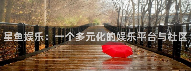 乐发ll5005招商