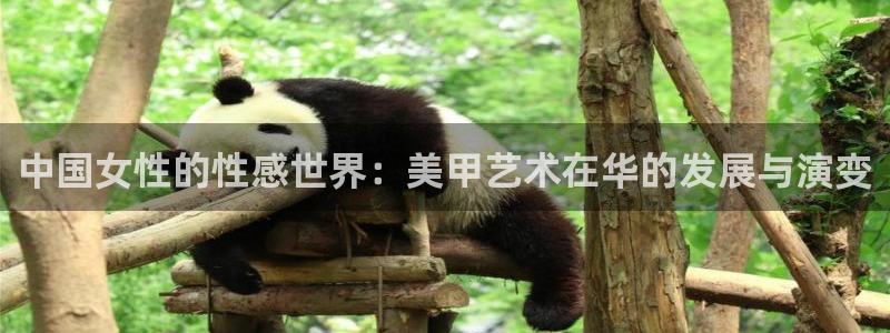 乐发ll500体育平台登录入口：中国女性的性感世界：美甲艺术在华的发展与演变