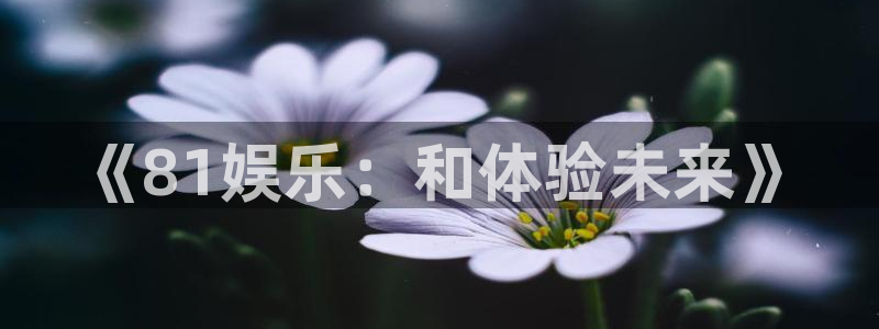 乐发ll500注册网站：《81娱乐：和体验未来》