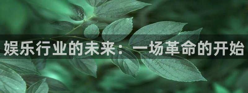 乐发ll5004注册：娱乐行业的未来：一场革命的开始